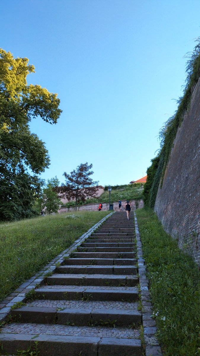 bicarbona's tweet photo. na rozbitou nohu hořčík, na karmickou křivdu krýgl, za focení schody navíc #runningzone https://t.co/IklbCVZhRr