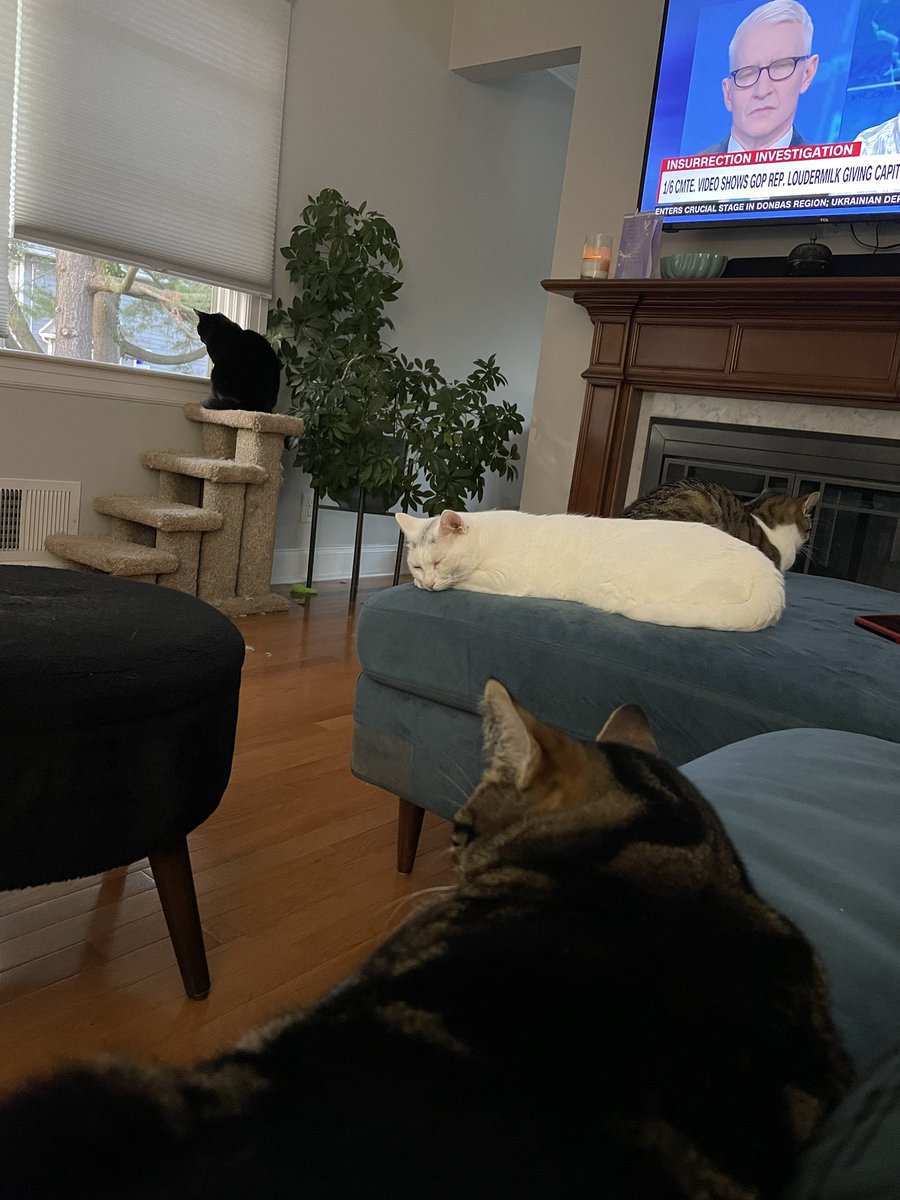 Tell me you’re a liberal without telling me you’re a liberal.