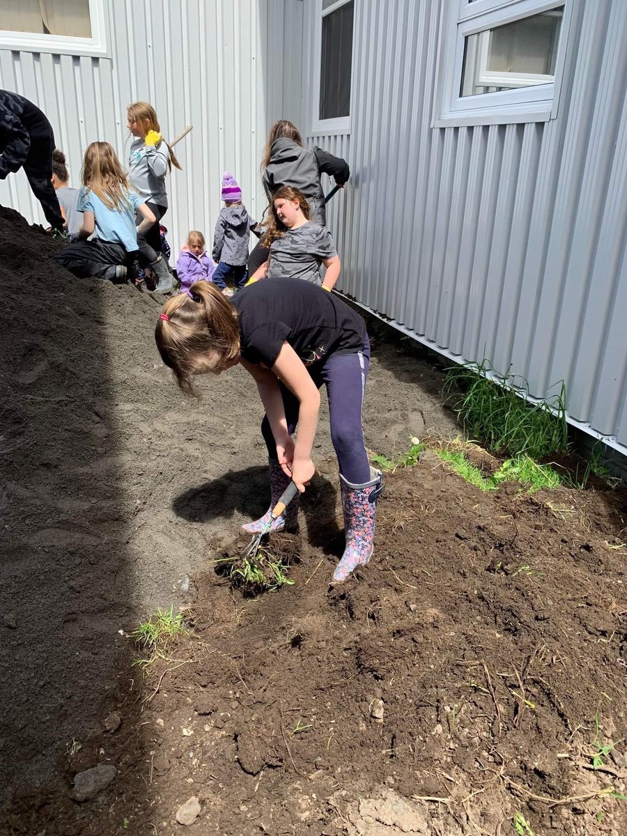 Jakeman All Grade tweet media