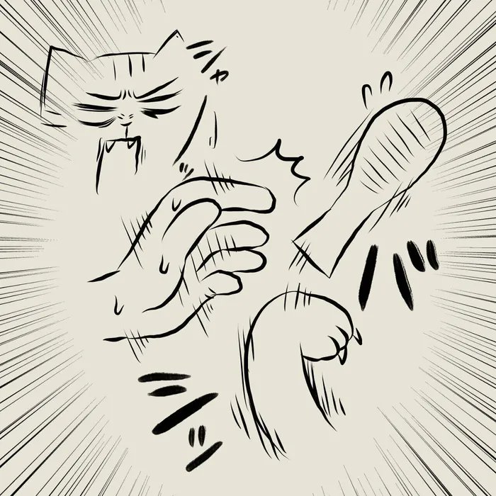 他の猫と距離がある元野良猫。グルーミング体験をして欲しいとブラシを買ってみたけど…?【連載】交通事故にあった猫を拾いました#69|ねこのきもちWEB MAGAZINE https://t.co/a9TzIX93wS