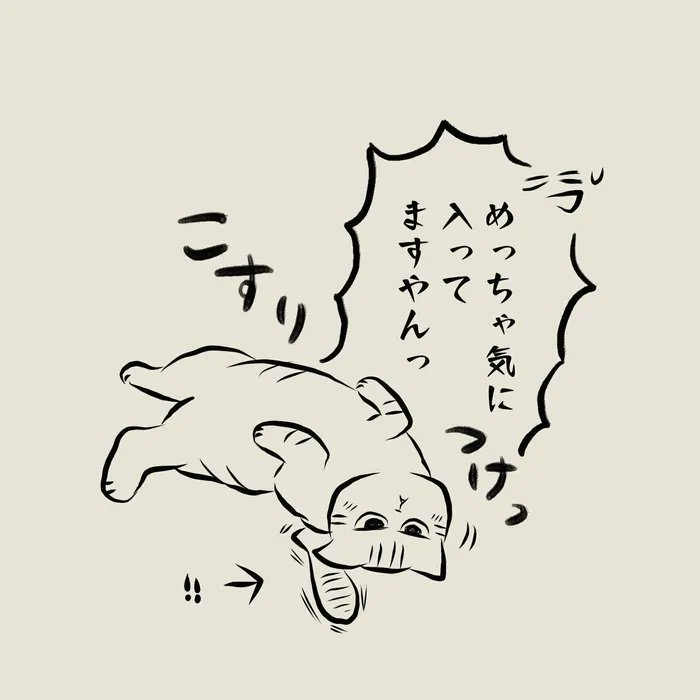他の猫と距離がある元野良猫。グルーミング体験をして欲しいとブラシを買ってみたけど…?【連載】交通事故にあった猫を拾いました#69|ねこのきもちWEB MAGAZINE https://t.co/a9TzIX93wS