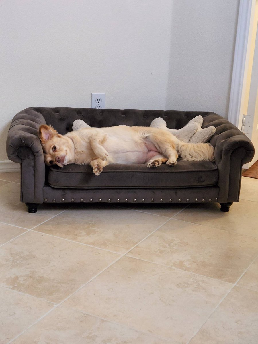 Evan Andrews tweet media