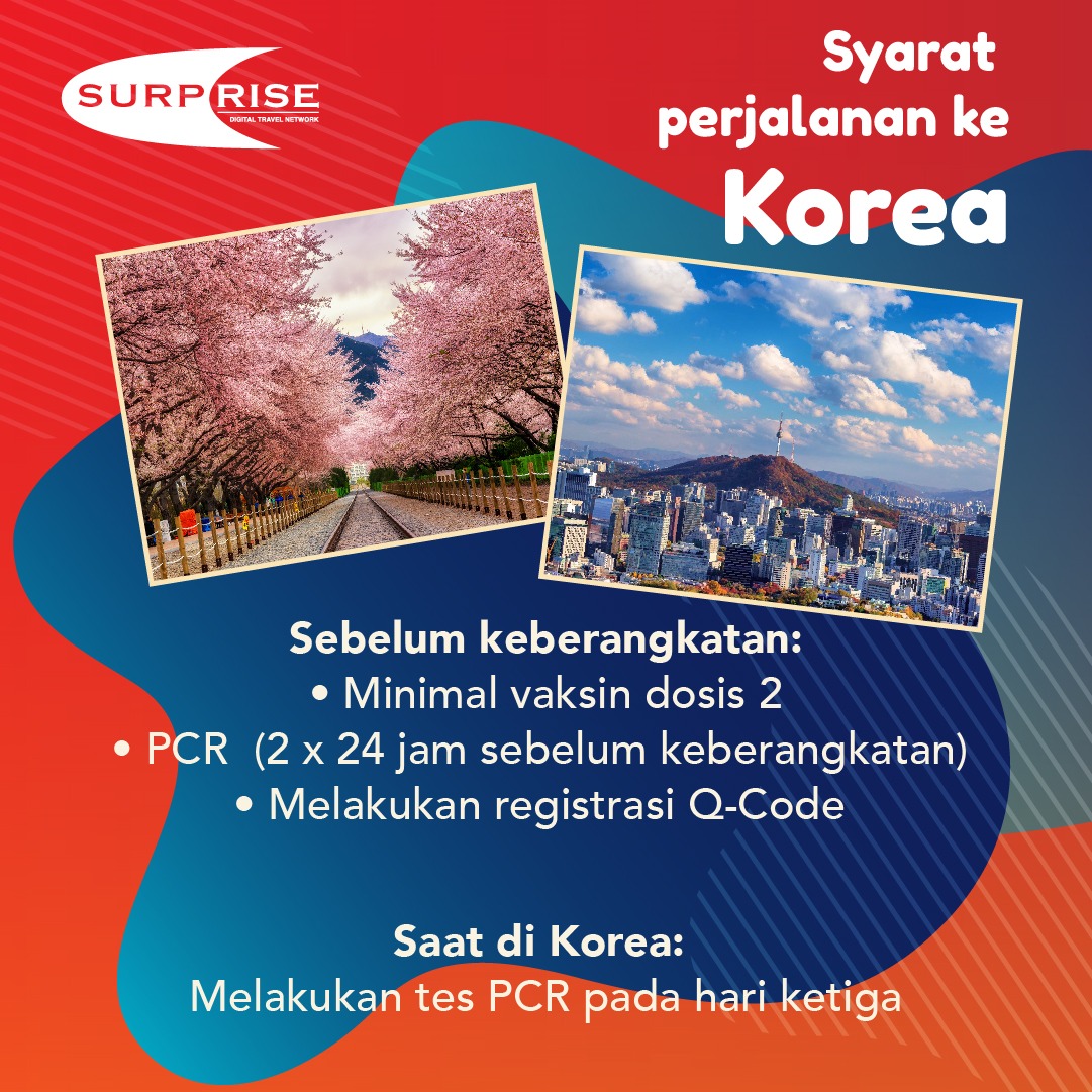 SurpriseIndo's tweet photo. Kini Surprise Friend sudah bisa mengunjungi Korea! Tentunya ini bisa menjadi kesempatan untuk mendapatkan benefit menarik dengan membeli paketnya di Surprise. Namun, perhatikan beberapa syarat perjalanan ke Korea berikut ini ya!

Informasi selengkapnya 
WA : +62 81290551612 https://t.co/IxV8EtejDz