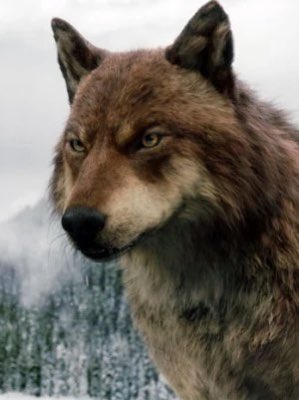 WillfulWerewolf's tweet photo. @shewolfWren @WiIdAtHart [Colt shifted and set his nose to work tracking Rook’s scent. If they were led back to where he was hiding, maybe they could find his family.] https://t.co/RZ9xXxjf9I