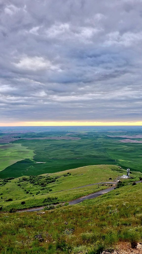JASNA_EWANID's tweet photo. It's National Nature Photography Day. This photo is from Steptoe Butte last night. Have you taken any nature photos which capture this quote?
#JaneAusten #MansfieldPark #FannyPrice #NaturePhotographyDay #SteptoeButte #EasternWashington #SteptoeButteStatePark #ThePalouse https://t.co/TkBlNZkJ7V