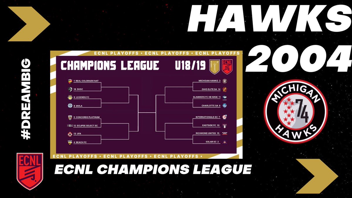 Michigan_Hawks's tweet photo. Congratulations to our @Michigan_Hawks that are going to Seattle!  Good Luck!  #DreamBig @ECNLgirls https://t.co/RdXYLre7jt