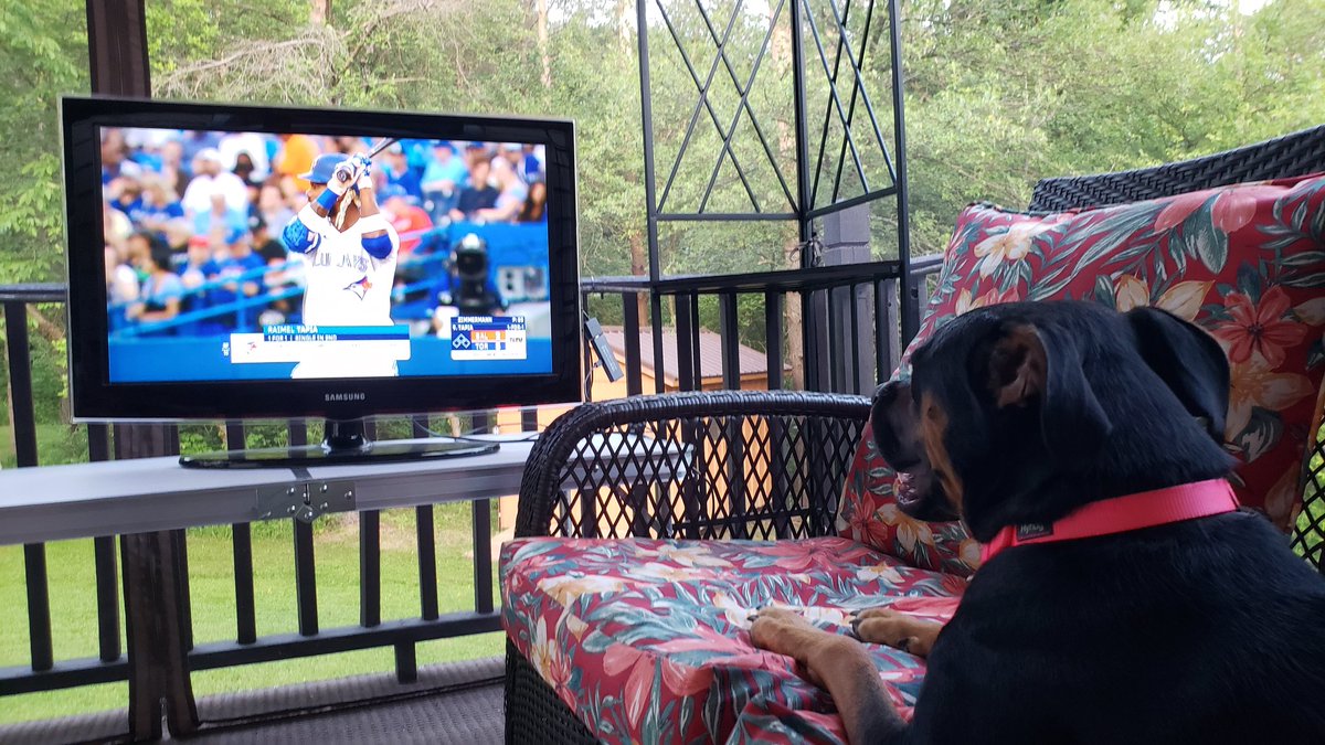 Shelby enjoying the game tonight Lets go Bluejays! #TDfancam