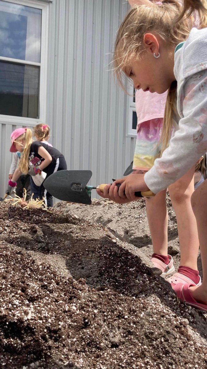 Jakeman All Grade tweet media