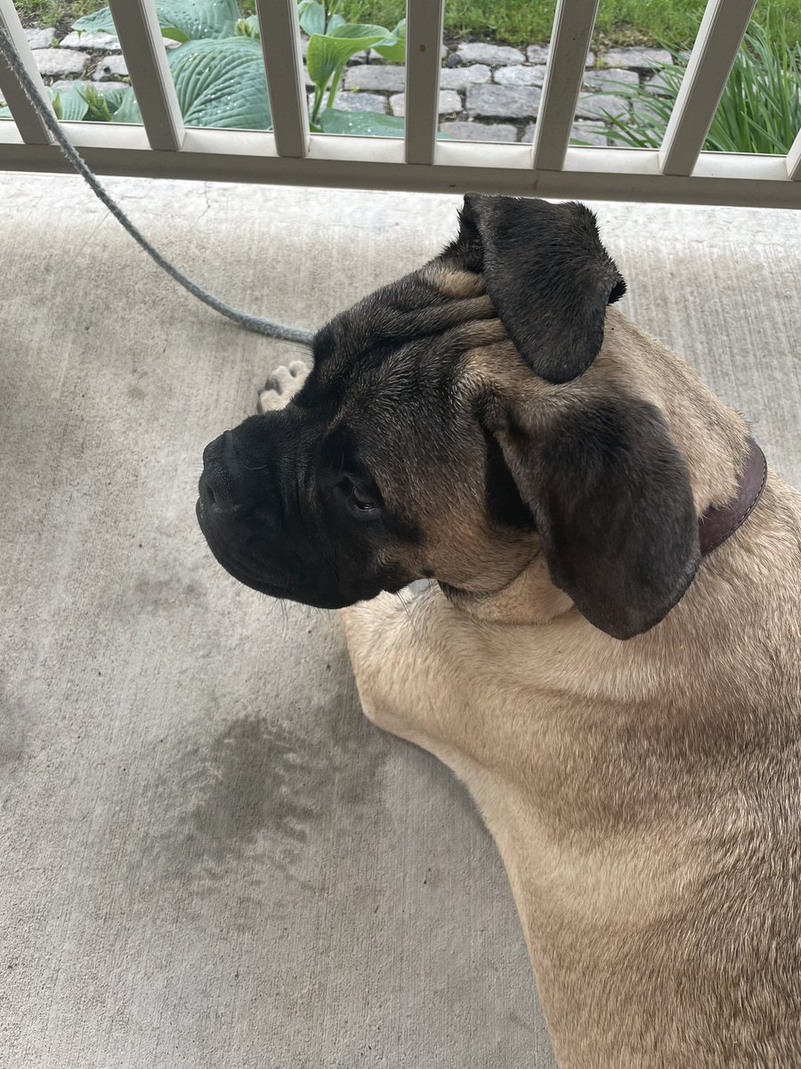 keithwrite_k's tweet image. Chillin