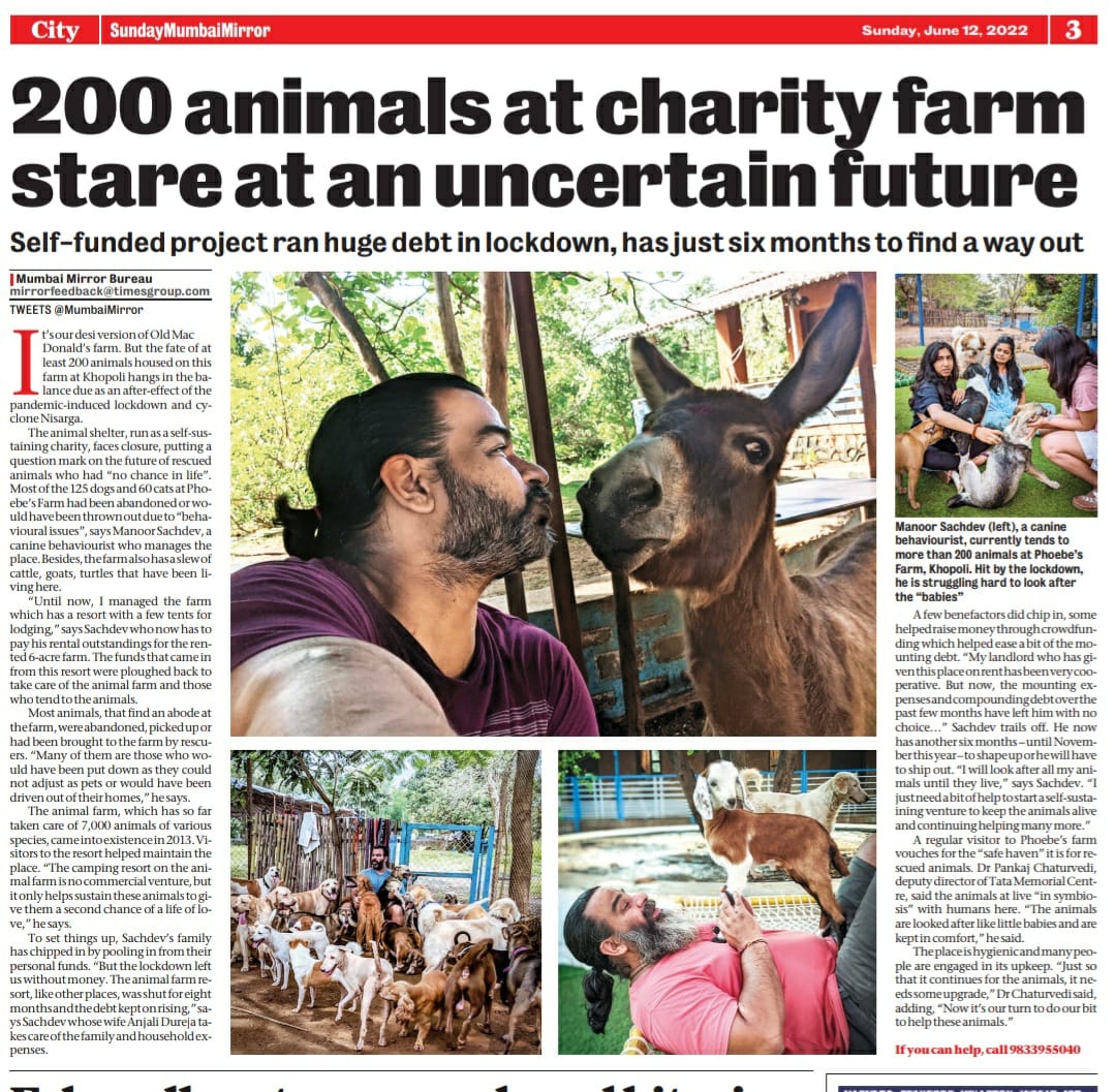 PhoebesFarm's tweet photo. Dear @hbuffett,
Greetings from India!
I am reaching out to you hoping you could help us connect with Mr. Warren Buffett. I keep hearing of Mr. Buffett's philanthropic gestures for different causes. 

We are a small little animal farm based in the outskirts of Mumbai - India.. https://t.co/dowdsRLA3u