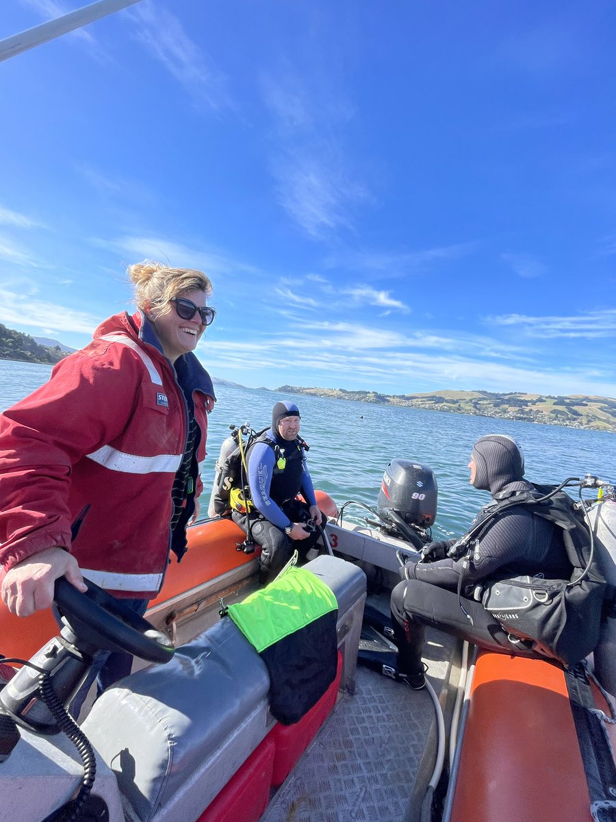 It takes a village! 2 years of diving and 400 bags of seaweed later, it’s a wrap for my PhD field data collection. A huge thank you to my amazing lab group and staff and students <a href="/MarineOtago/">Marine Science Otago</a> who helped above and beyond. Team work truly does make the dream work!