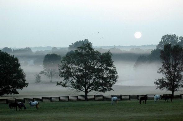 Mike Leichliter tweet media