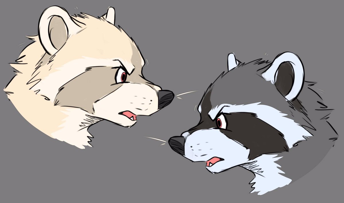 Raccoon doodle couldn’t decide between a blonde or grey raccoon so did both ✨