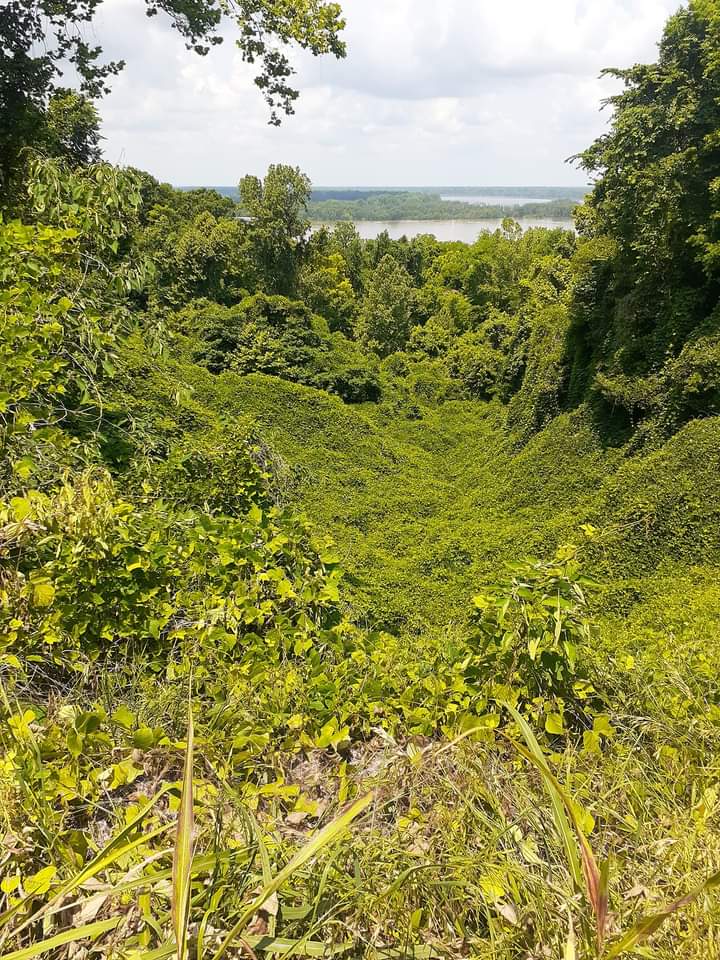 Devil's Punchbowl this Sunday June 19th is not a march nor is it a rally, we are paying respect and honoring our ancestors keeping their memories alive. We must teach the next generations the true stories of genocide this country refuses to teach in the classroom..