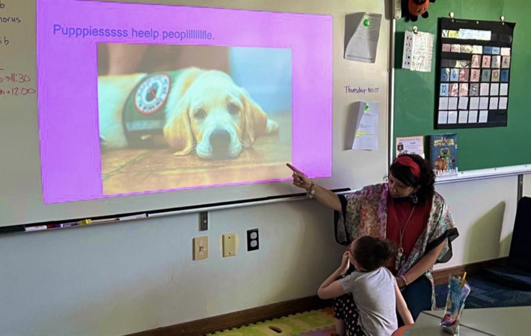 Amy Figger tweet media