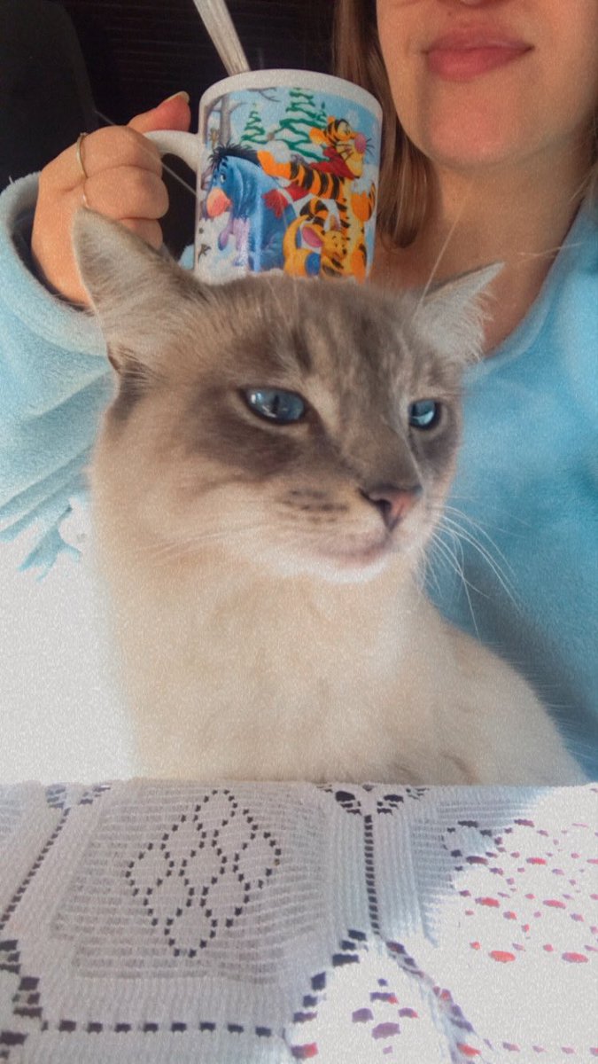 brunatividade's tweet photo. Nao desgruda nem qndo vou tomar cafe https://t.co/jpYoXbuAKs