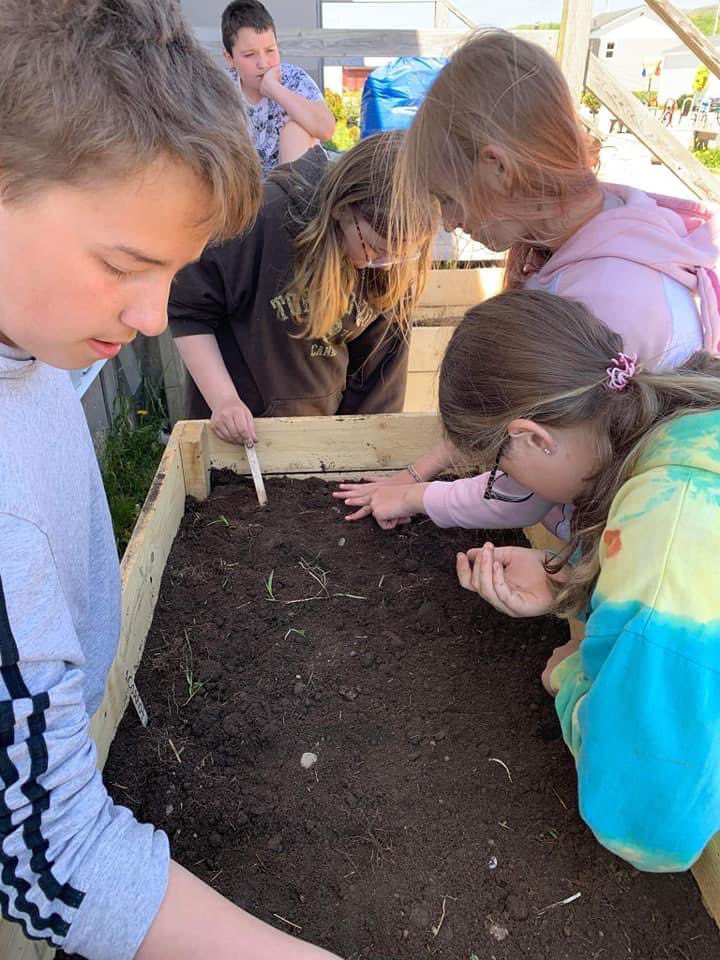 Jakeman All Grade tweet media