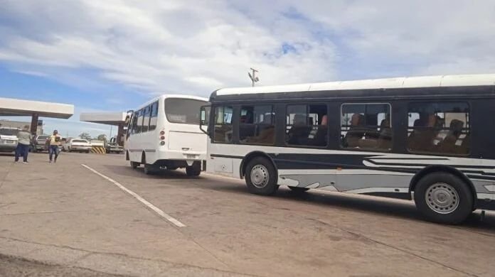 NoticiasFalcon's tweet photo. Paraguaná | Transportistas denuncian «negocio redondo» para abastecer combustible⁣.

https://t.co/N7n9x2EJPT ⁣

 #Cactus24 https://t.co/kaQwWfCHJr