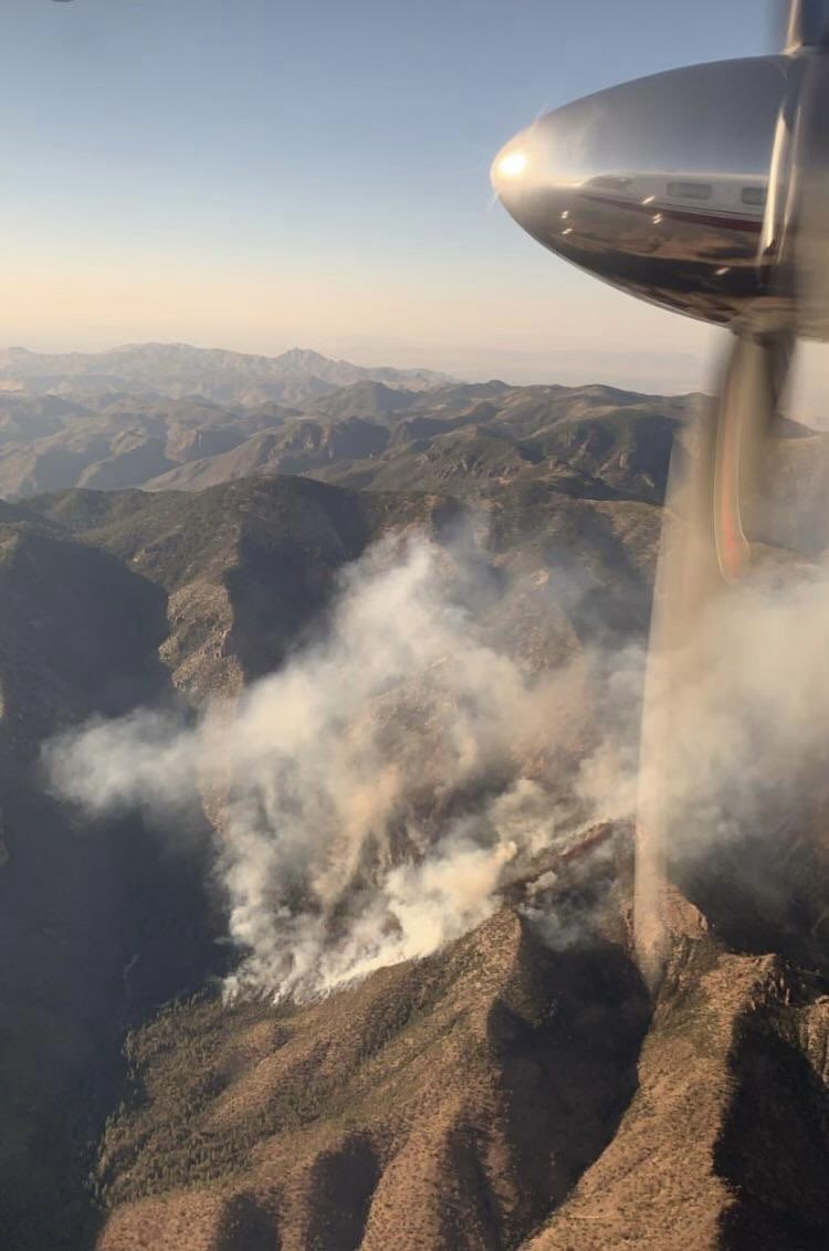 HotshotWake's tweet photo. The Raspberry Fire in Arizona is now
500 acres and burning in the Chiricahua Wilderness. Crews were assigned last night and are working the wilderness fire.
๐ท : Inciweb
#RaspberryFire #arizona #coronadoNF #fire #hotshots #wildfire #weather #firefighters https://t.co/tHUG2C2euS