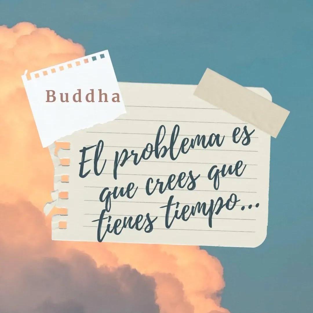 v_mfb's tweet image. Buenas noches 💤