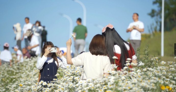 welcome to ShandongWeihai# BeautifulWeihai
