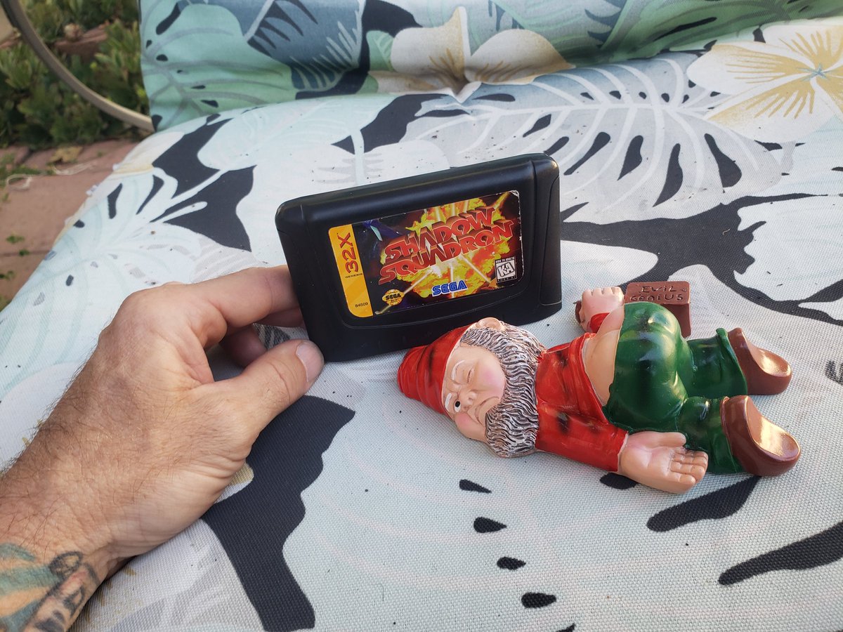 Matthew82666's tweet photo. Awesome package delivery day.
#sega #sega32x #shadowsquadron #yardgnome #drunk #passedout #SegaGenesis #RetroGaming #videogames #landscape https://t.co/yb0OKzXSES