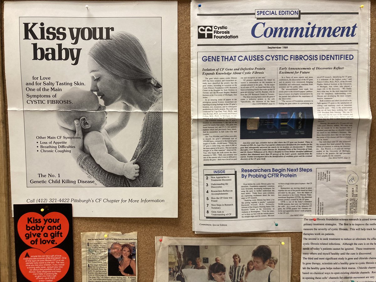 Catherine Armbruster tweet media