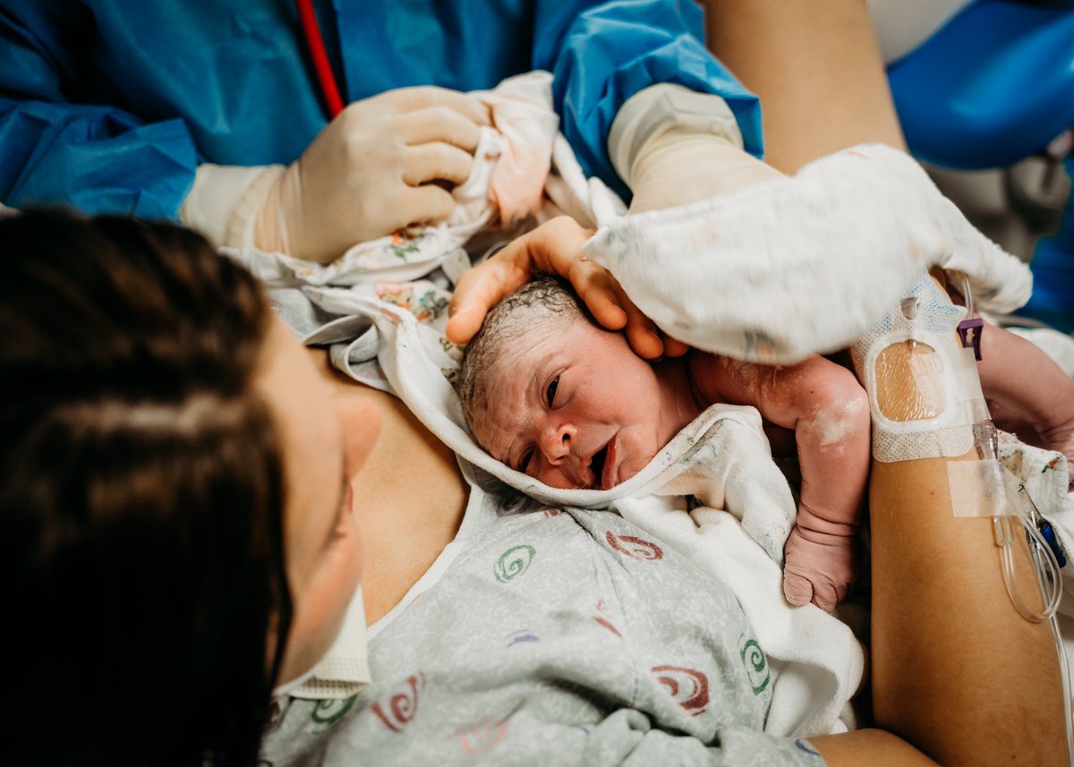 caitgoddard9's tweet photo. Official Twitter introduction to my sweet girl. 6/6/2022 🤎🌼 https://t.co/s0hp4lTk9O