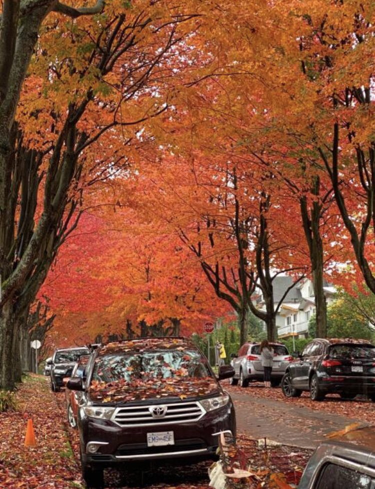 Erick..... (@poorbasstard) on Twitter photo 