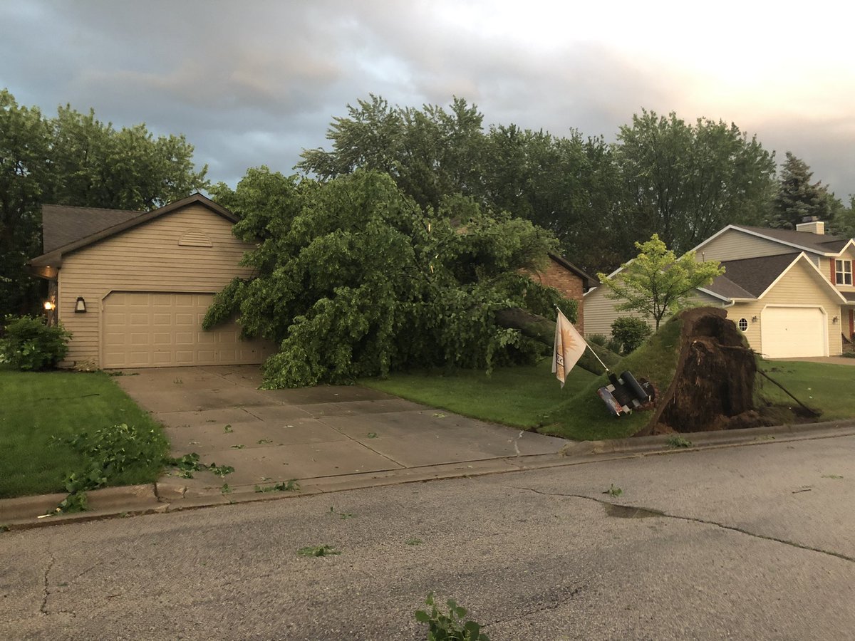 Tyler Job 🏳️‍🌈 tweet media