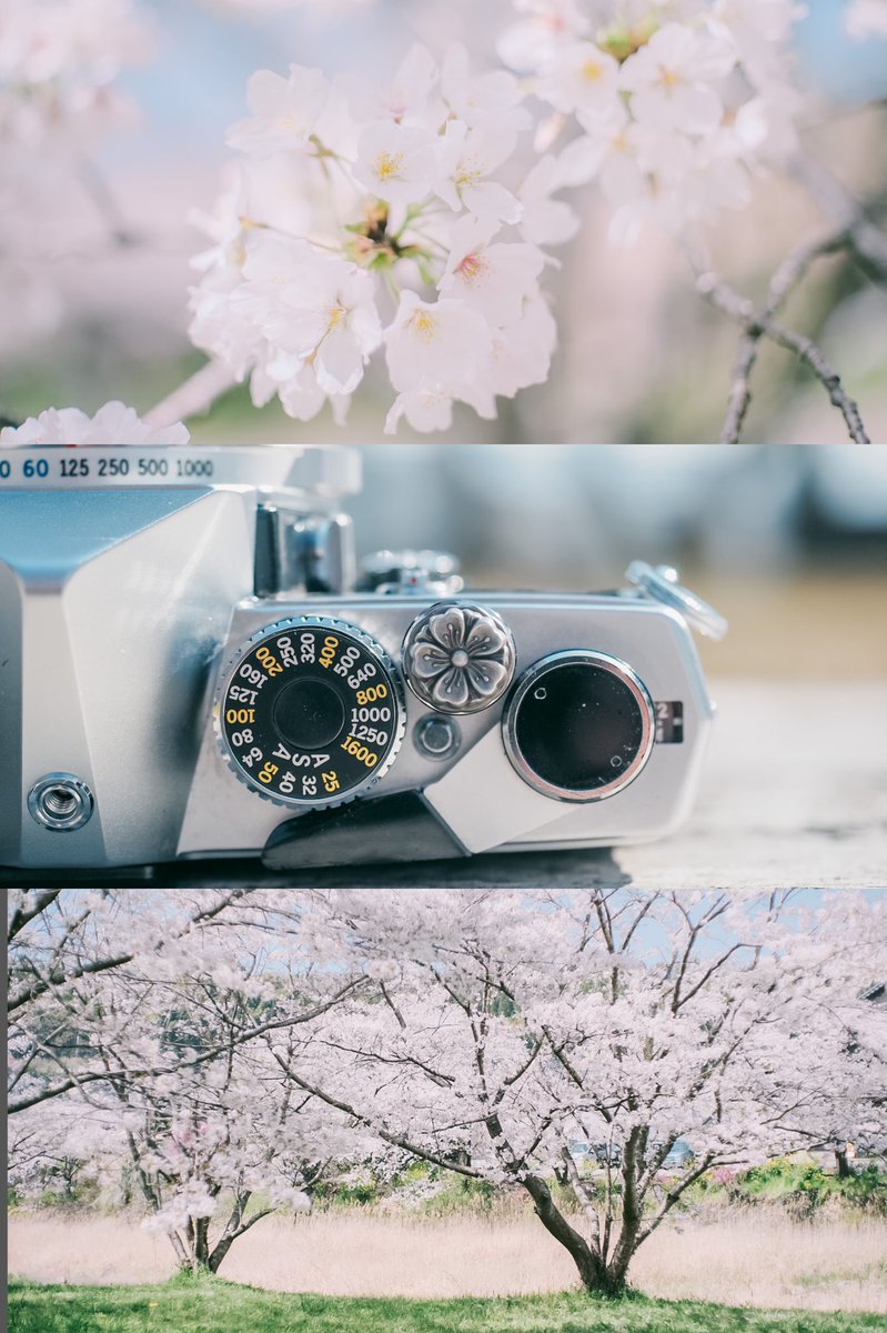 SakurafotoU's tweet photo. ćFORZAGOćHandmade shutter buttonšøšøšø
šhttps://t.co/MPCTD4yMST
#camera #photo #photography #photographer #fujifilm #leica #handmade #shutterbutton https://t.co/gfYq9KVpJf
