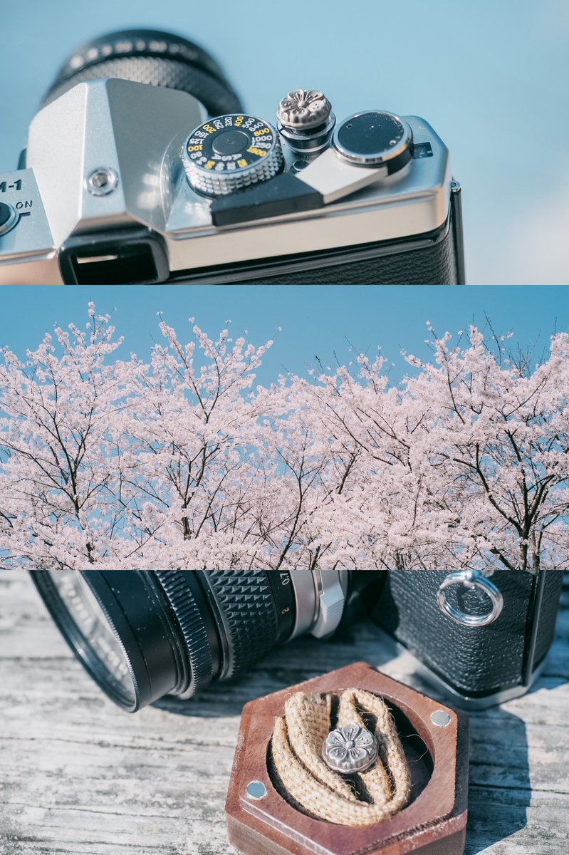 SakurafotoU's tweet photo. ćFORZAGOćHandmade shutter buttonšøšøšø
šhttps://t.co/MPCTD4yMST
#camera #photo #photography #photographer #fujifilm #leica #handmade #shutterbutton https://t.co/gfYq9KVpJf