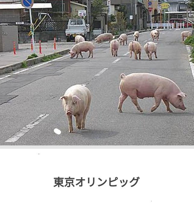 仲田幸司 Twitter Search Twitter