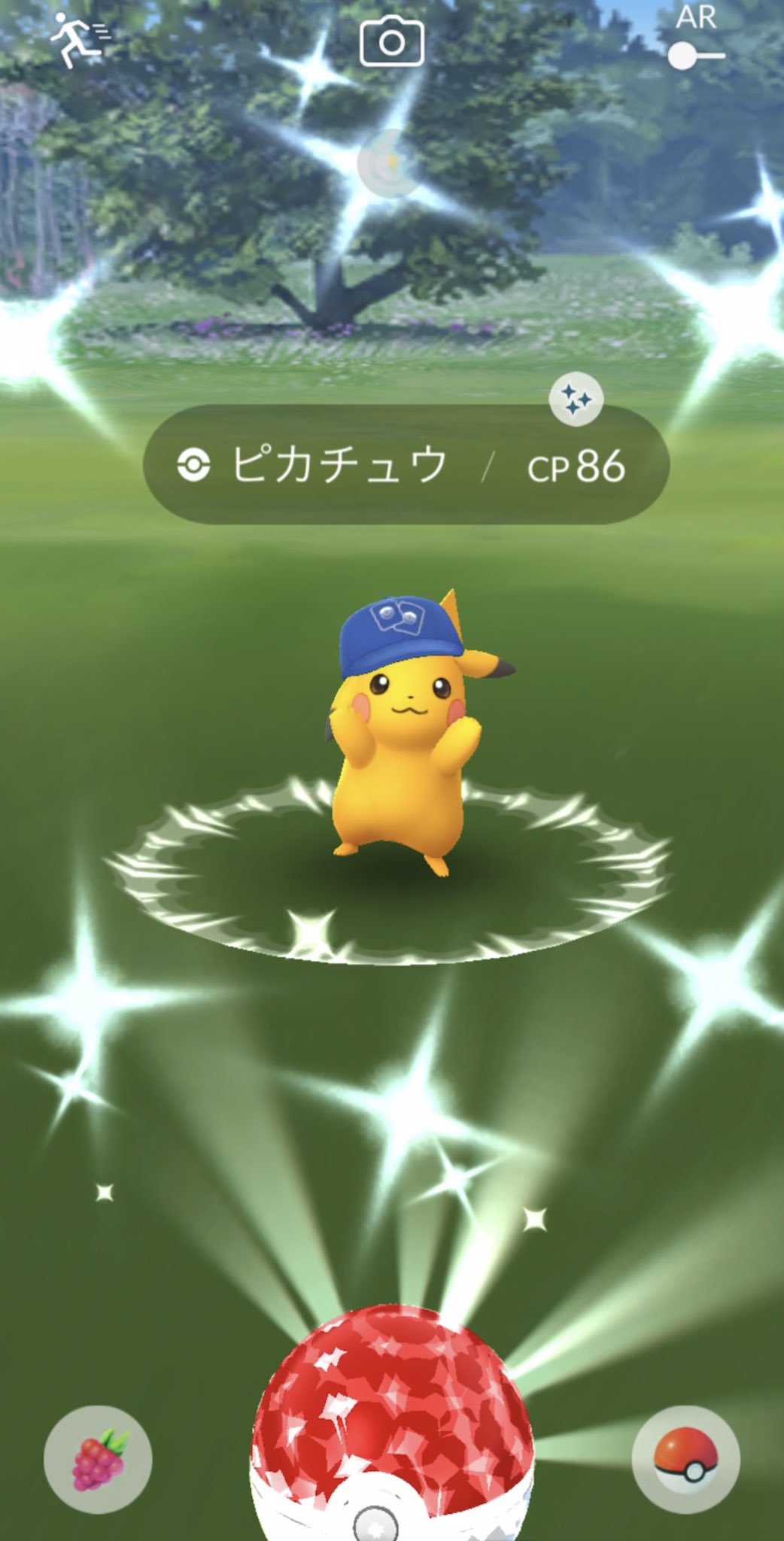色違いピカチュウ Twitter Search Twitter
