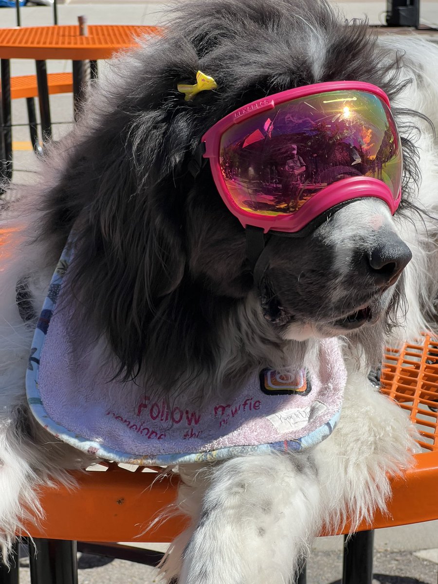 I want to skate with the @Avalanche! #stanleytweets #StanleyCupFinal