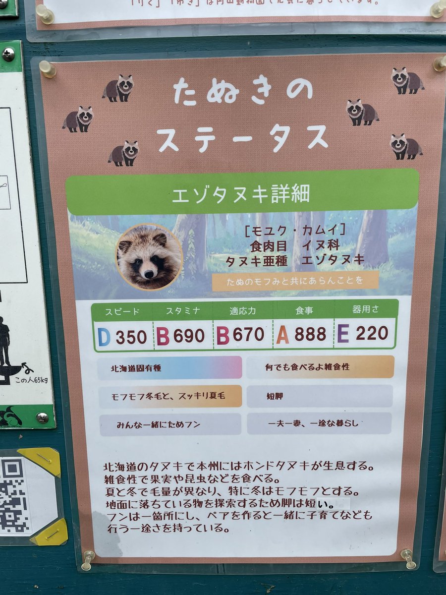 動物園に行ったらエゾタヌキさんがウマ娘風にステータス紹介されてた スピードと器用さが低い Togetter 動物園に行ったらエゾタヌキさんがウマ娘風にステータス紹介されてた スピードと器用さが低い Togetter