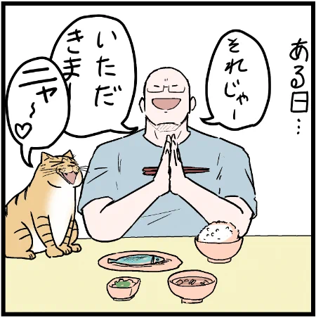 ミュウ!オマエ!いつのまに!?!?笑
 #ニャンコ #まんが #猫 #猫あるある #猫漫画 #ペット #飼い主 #エッセイ漫画 #キャット #ねこのいる生活 #4コマ 