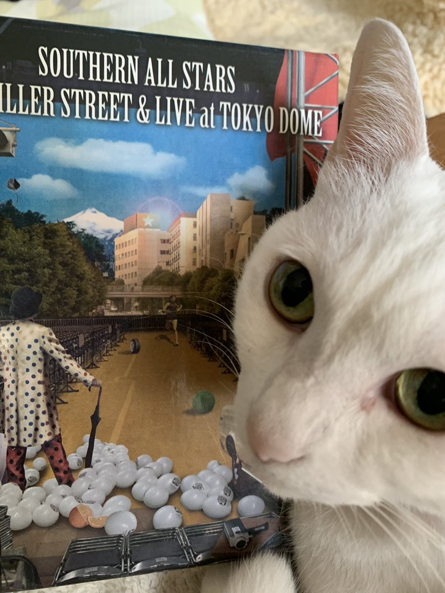chierymaru's tweet photo. 今日は私の誕生日🎂ﾍﾍ

今年の自分へのご褒美は
メルカリで買ったDVD

懐かしい‼︎
ウェーブとかもやってたなぁ❤️

あの頃にタイムスリップして
もう一度ライブ行きたくなっちゃうね♫

#サザンオールスターズ
#キラーストリート
#自分へのご褒美 https://t.co/3mauPRRuQX