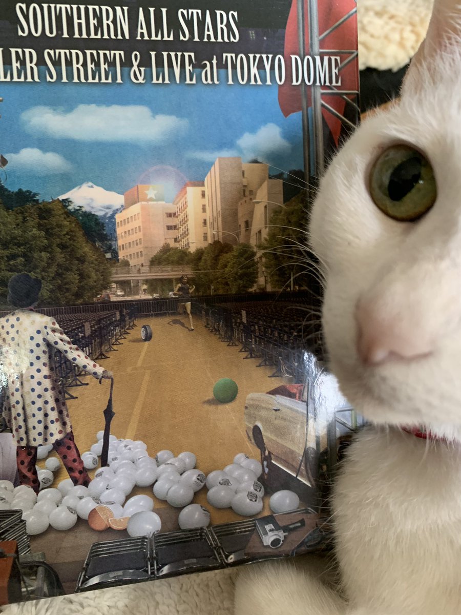 chierymaru's tweet photo. 今日は私の誕生日🎂ﾍﾍ

今年の自分へのご褒美は
メルカリで買ったDVD

懐かしい‼︎
ウェーブとかもやってたなぁ❤️

あの頃にタイムスリップして
もう一度ライブ行きたくなっちゃうね♫

#サザンオールスターズ
#キラーストリート
#自分へのご褒美 https://t.co/3mauPRRuQX