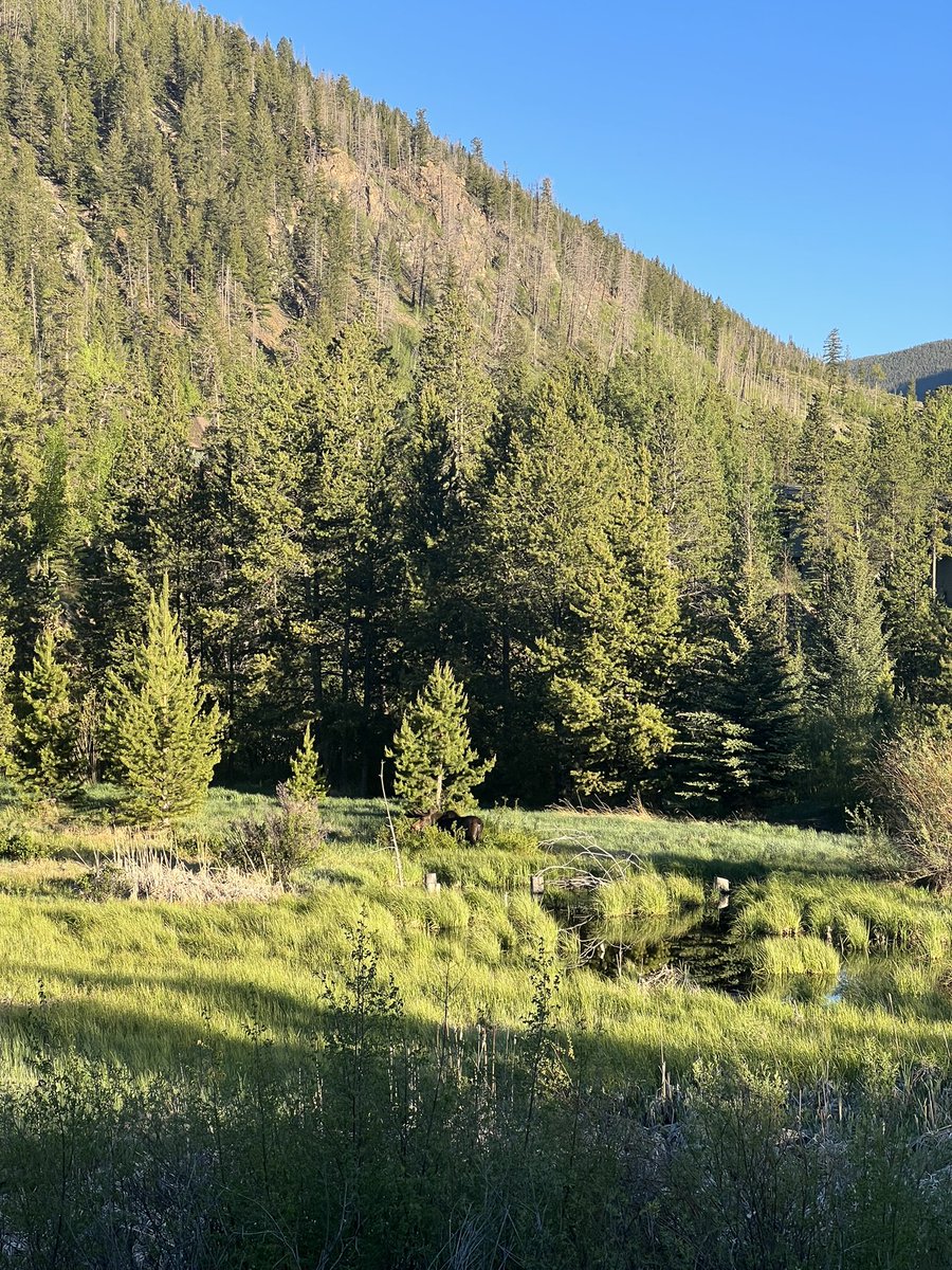 Ben Humphreys tweet media