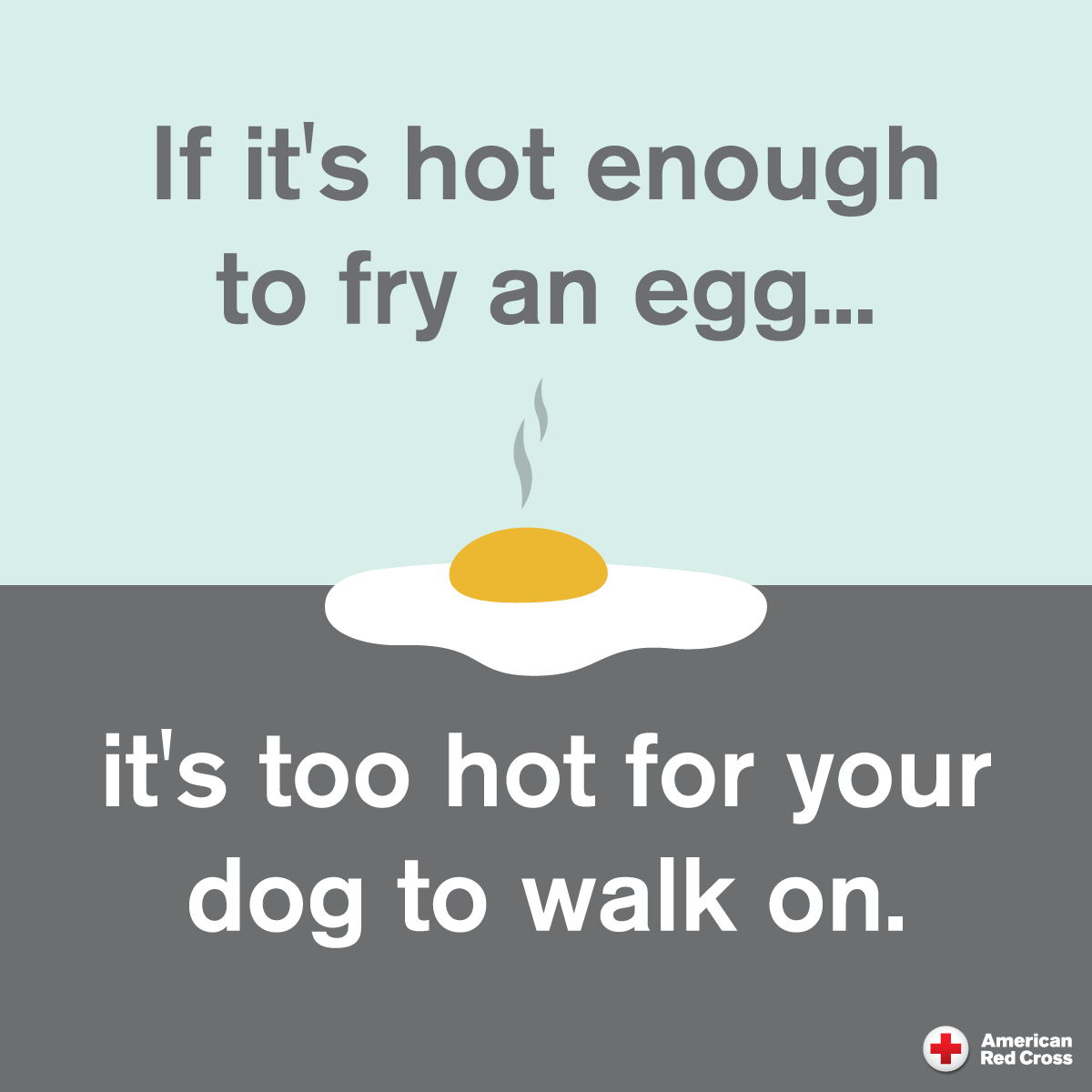 indianaRedCross's tweet photo. If the ground is hot enough to fry an egg… it’s too hot for your dog to walk on 🐾
🐶 Plan your walk times
🐶 Check the ground temperature
🐶 Bring water and a bowl for your pup to drink
#americanredcross #redcross #heatwave #safetytips #extremeheat #indianaregion https://t.co/RqMpiURDsq