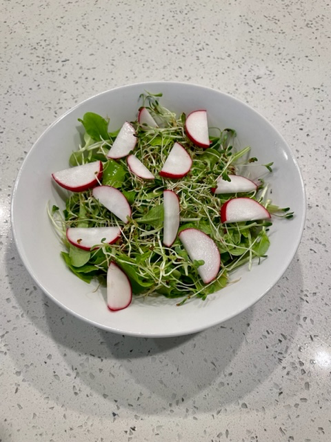 HannahM088's tweet photo. The final piece to my learning project! The lettuce, sprouts, and radishes are from my garden. 
#edtc300 #learningproject #salad https://t.co/TWqN27Ay6C