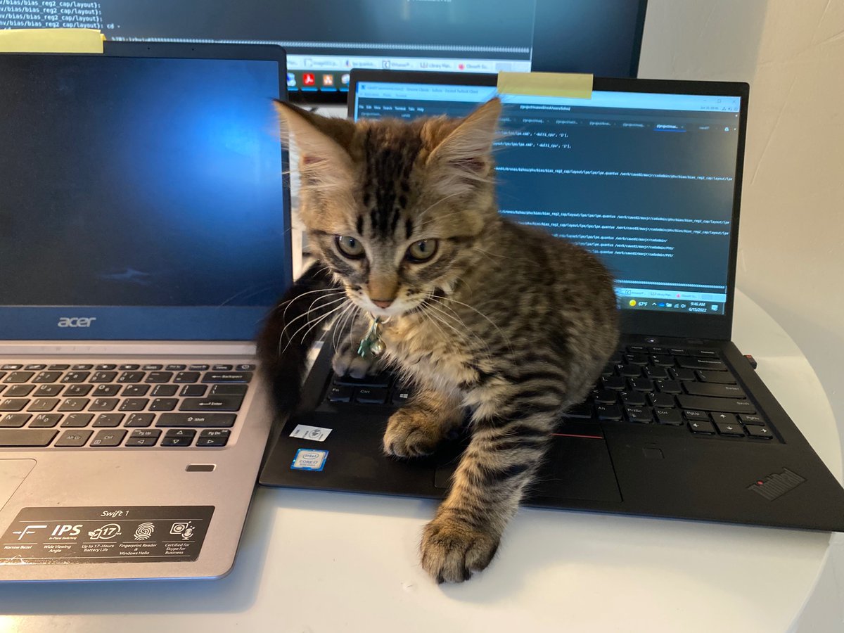 IT Guy