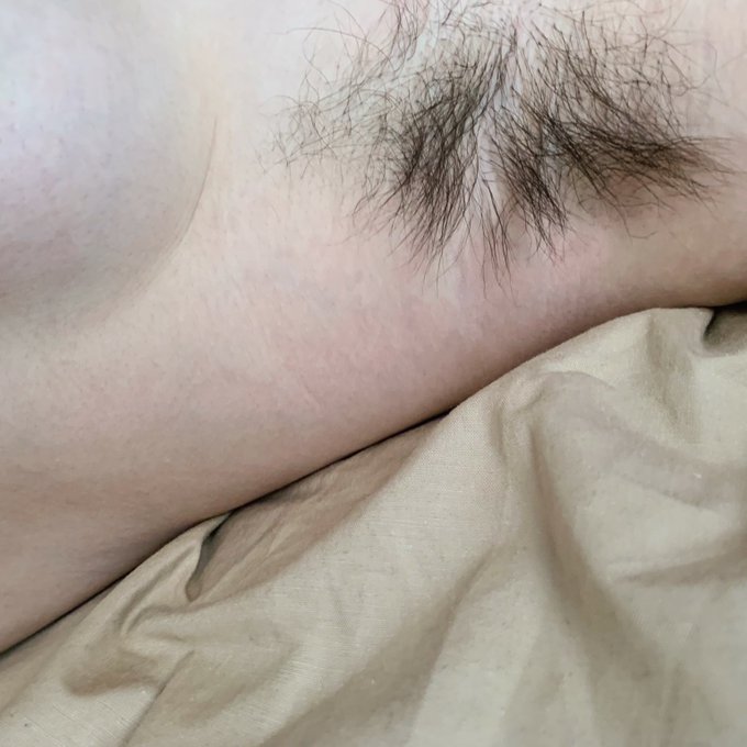 like if you love my bushes 🧡 https://t.co/jdB28avVqV