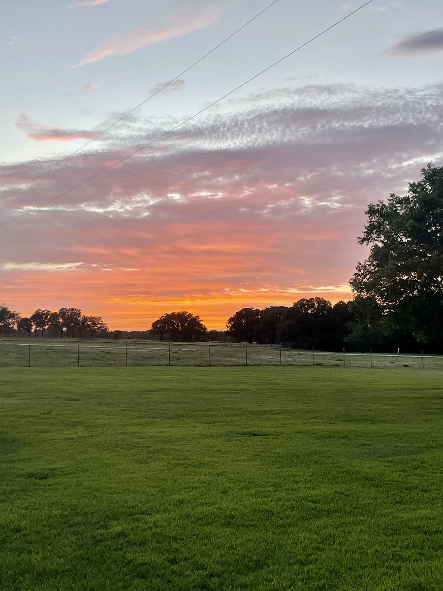 Nice evening at the farm