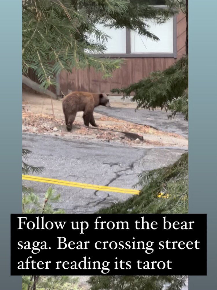 0xGlitterstorm's tweet photo. When the #bearmarket is bear life in general. Knocked over some books and a #tarot deck. (Edit: 9 of swords- but still 🤦‍♀️) https://t.co/RxSpYCz7fh