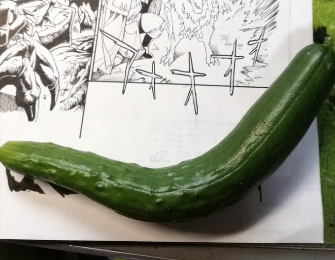 今朝の収穫。またひねくれもののキュウリが‥マルマンストアで形が悪くて閉店間際に出されるやつだな。
消費が追い付かん。 