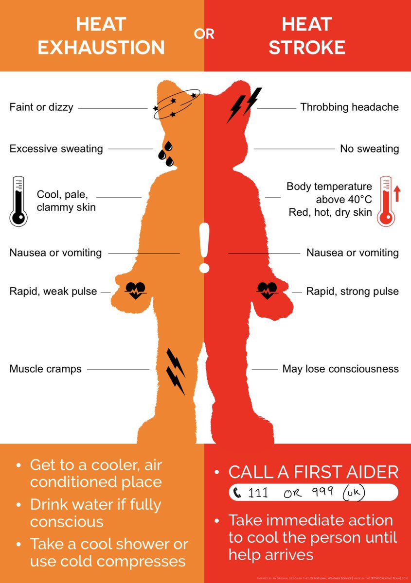 jftwconvention's tweet photo. We have a heatwave coming in the UK. Please make sure you all take extra special care. Know the signs and treat them quickly 🥵

You can download the posters here https://t.co/Nlk7SWsqon https://t.co/1A8InxwRl8