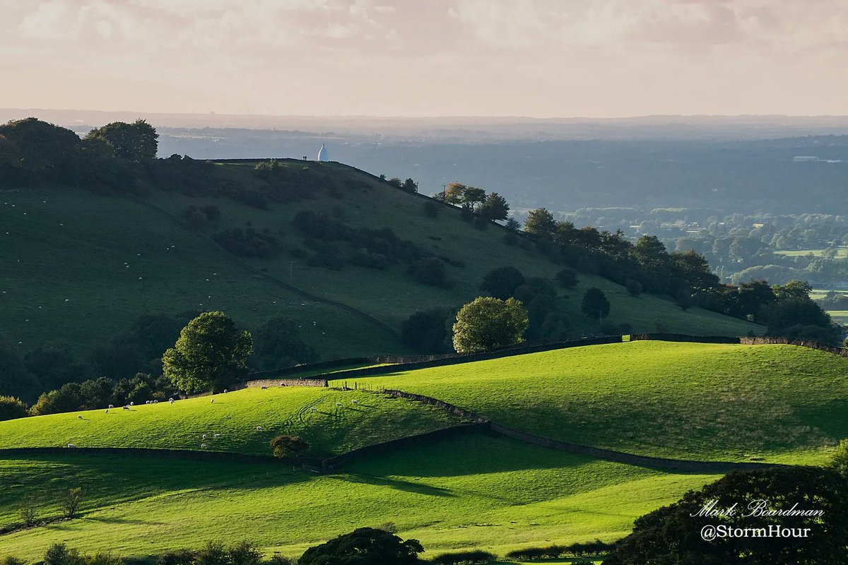 #StormHour tweet media