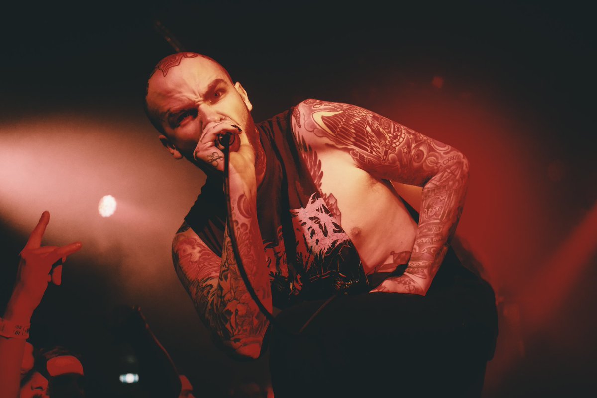 Steven Cook tweet media